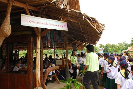 29.7.52p3 (16).JPG
